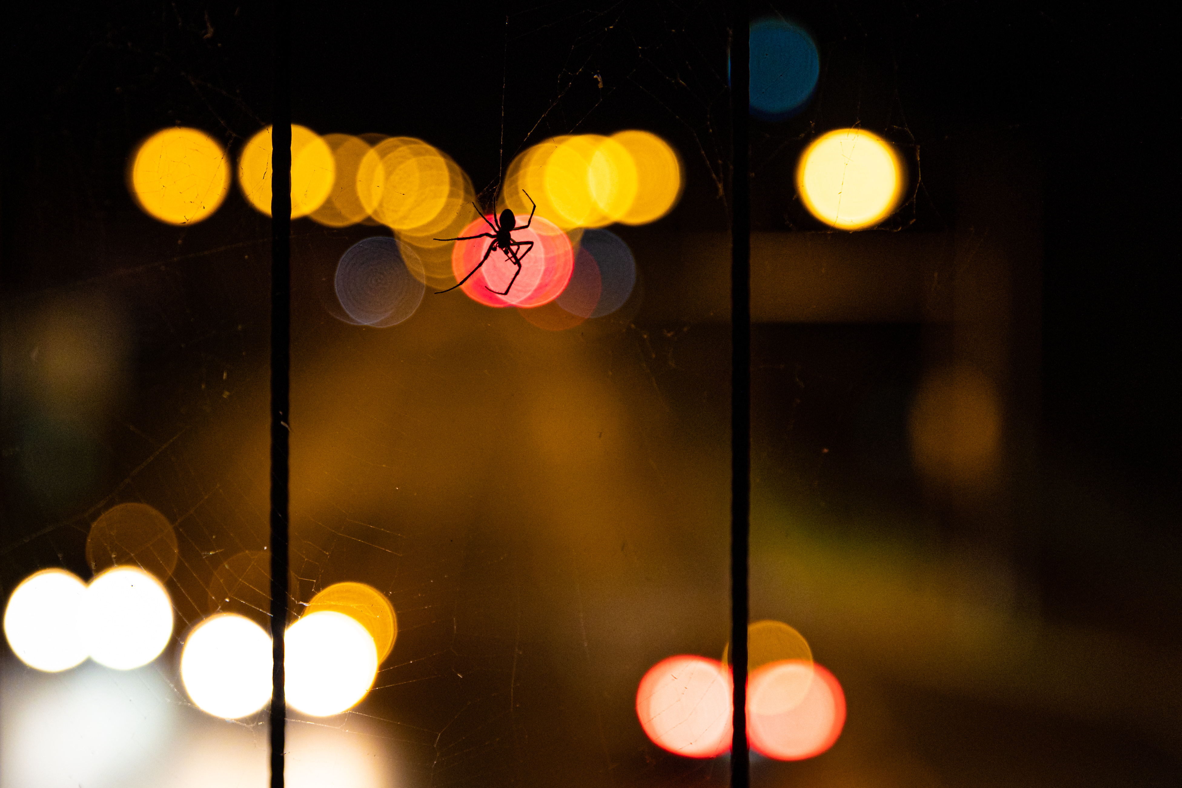Un antiguo miembro de «Scattered Spider» se declara culpable de una oleada de delitos informáticos